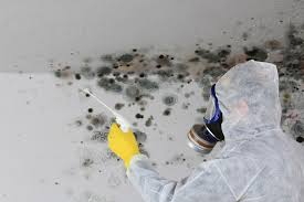 Why You Should Choose Our Mold Remediation Services in Sloatsburg, NY